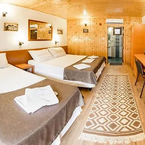 Pensiunea Casa 3* Bucureşti